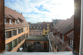 COLMAR city center Little Venise - 